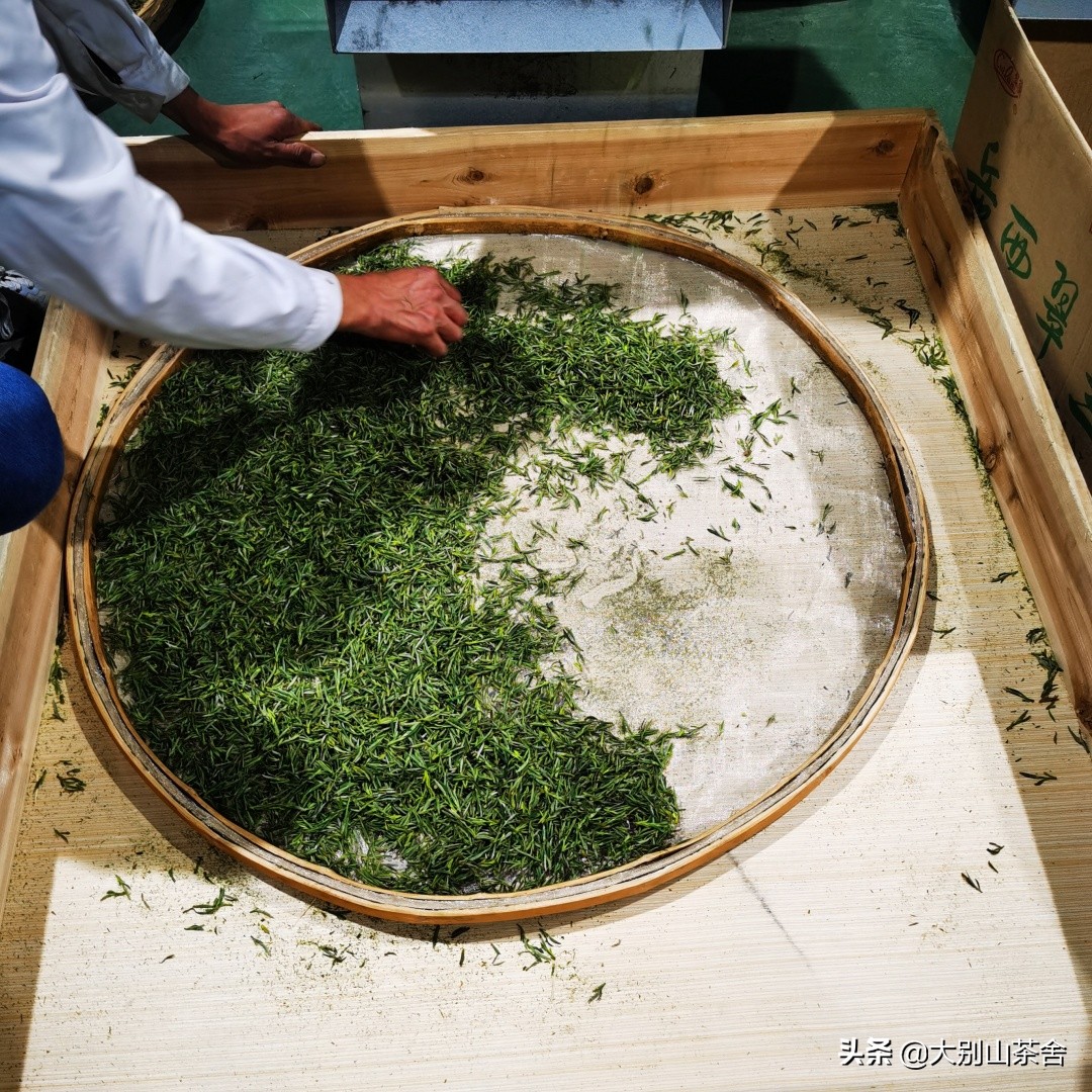 大别山采茶日记，茶季总结：茶歇犹依依，回首数峰青