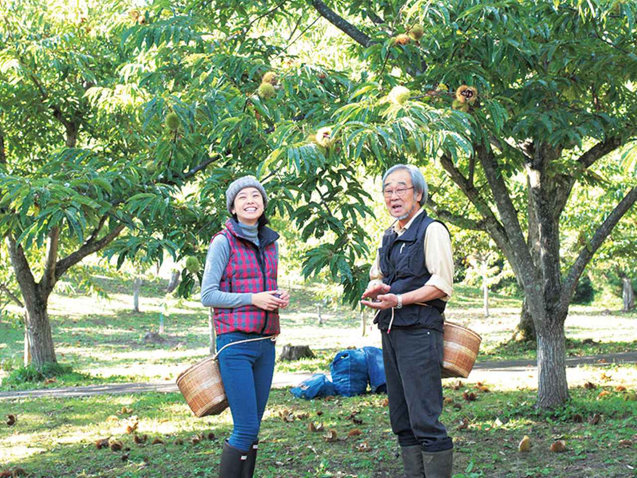 沐夏生活美学｜长谷川弓子在《大栗子》树下
