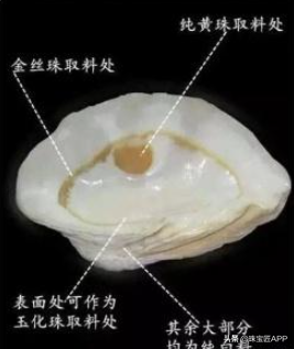 这4种能做珠宝的贝壳你都认识吗？贝壳珠宝大盘点第2弹