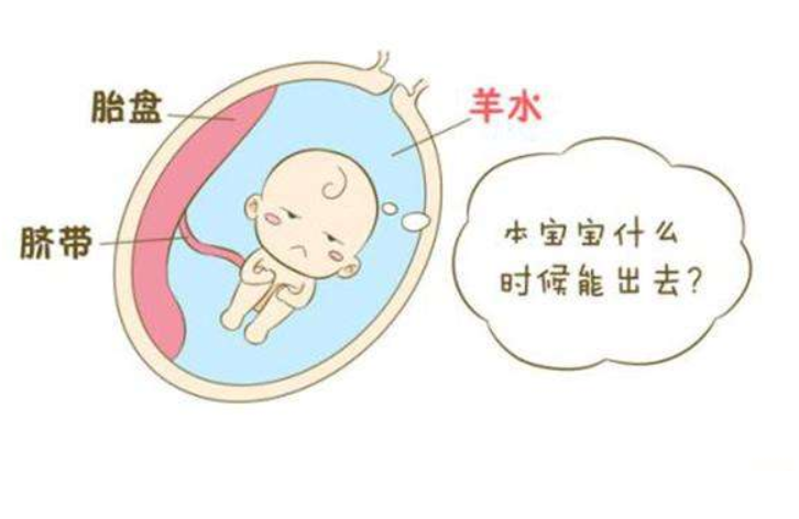 1,孕妈身体气色好孕妇的面部气色红不红润可以作为判断羊水浑浊与否的