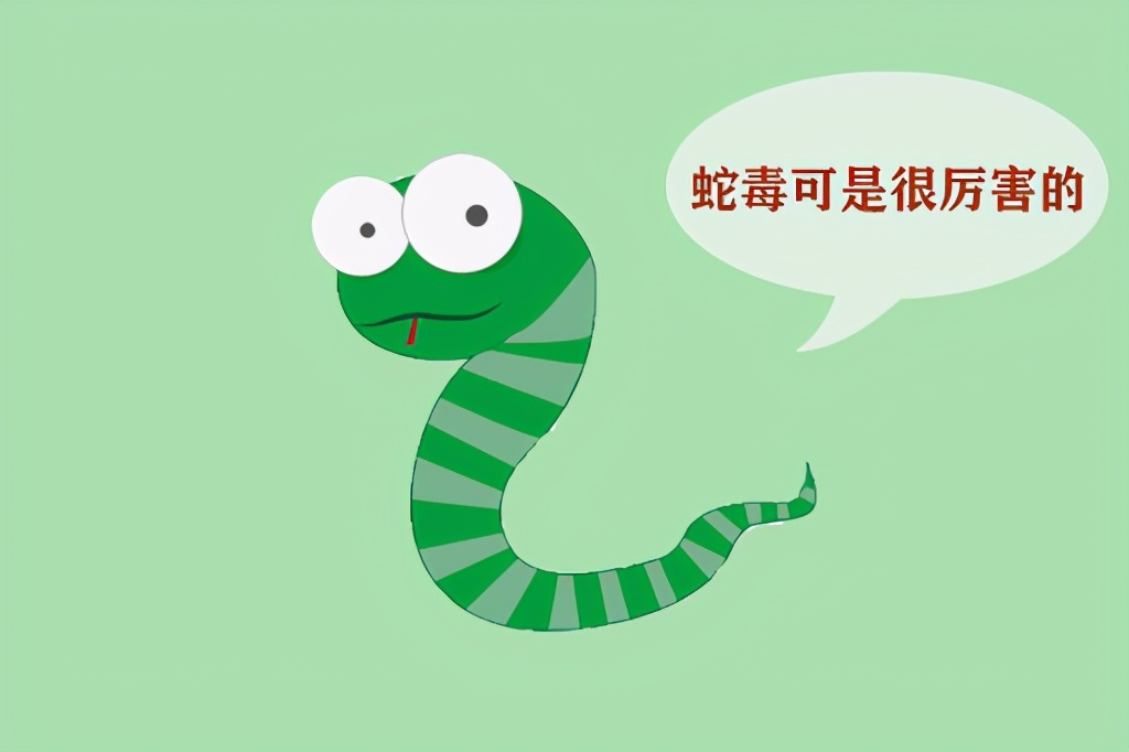 我国最毒的蛇是什么？真的不是眼镜王蛇，而是性情温和的银环蛇