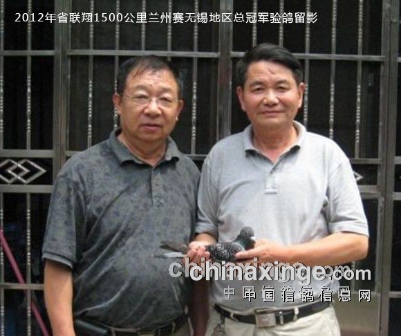 74岁飞公棚冠军 许永昌：我用的仍然是李鸟！