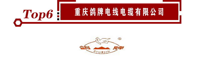 2020年电线电缆十大品牌企业