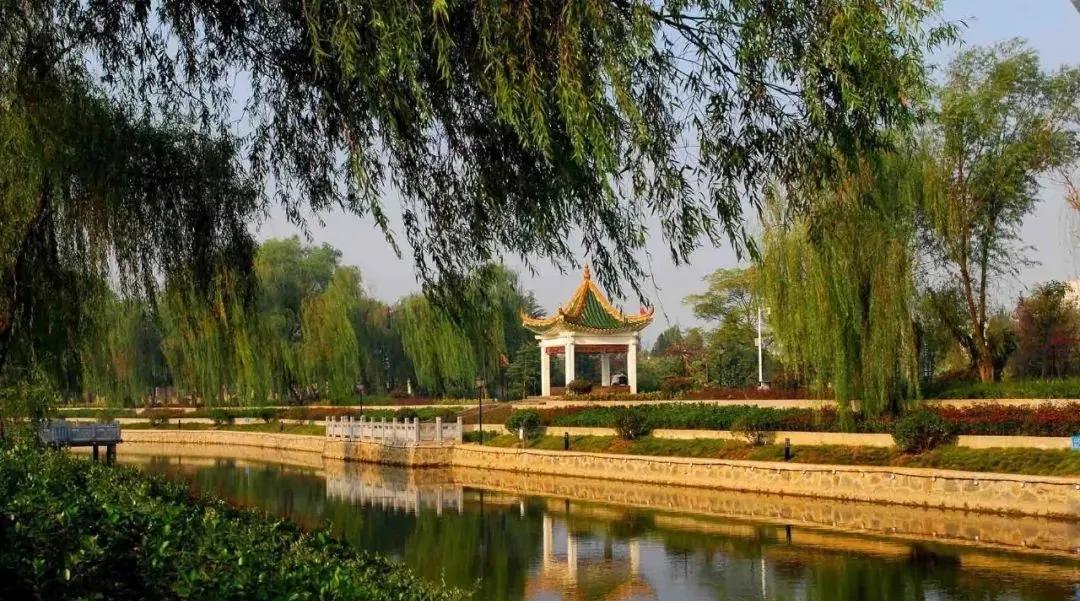 「庆国庆」涡阳精彩文体活动来袭，接住