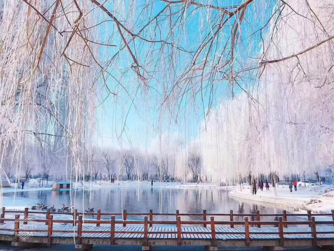 @金钱松东路36号：沈阳体育学院，遇到你真好