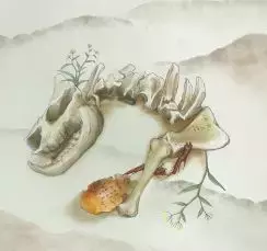 这些中药,名字看起来很像,但实际作用却大相径庭