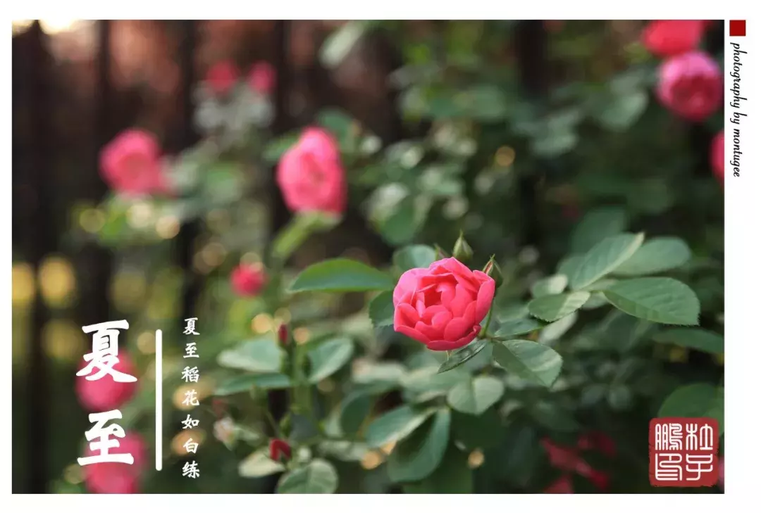 @高考生，浙江师范大学使用说明书来了，请查收