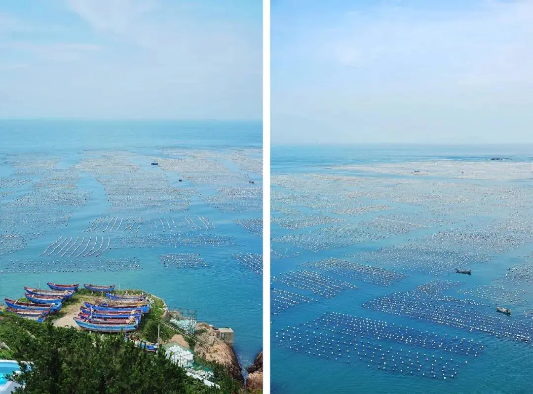 枸杞岛旅游攻略(枸杞岛旅游攻略自驾) 枸杞岛旅游攻略(枸杞岛旅游攻略自驾)