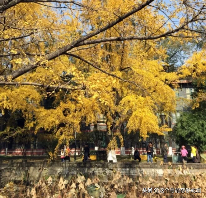 心如荷花天地宽，人生一笑岁月长；医海无涯必励钻，博采勤收受益