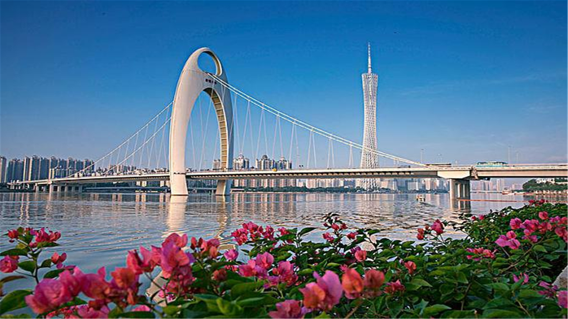 广东新增一所“重量级”大学，耗资16亿，或实现家门口的高职教育