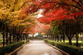 两所高校一二本招生，490—550分左右可录取！性价比很高值得报考