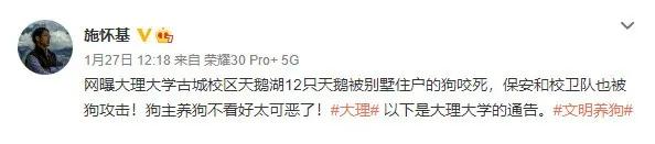 痛心！大理大学12只网红黑天鹅被烈犬咬死！包括6只丑小鸭！狗主人赔4万元