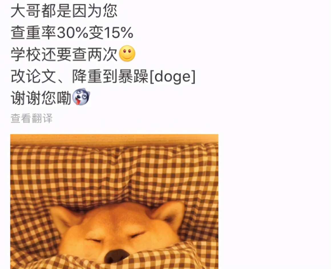 不同专业毕业论文“查重”，法学专业法条标红，会计专业也不好过