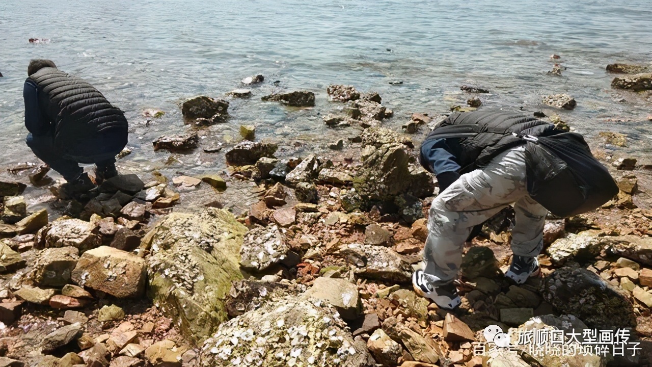春渐暖，花已开，让我带你去看海——旅顺月亮湾