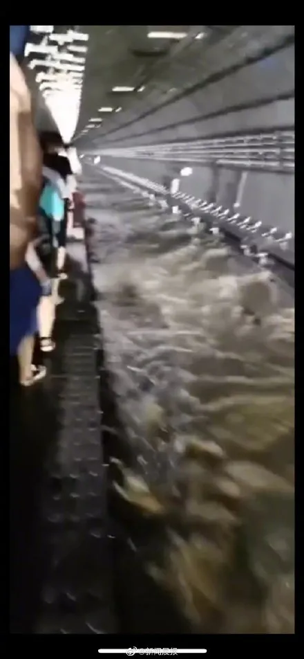 死里逃生！暴雨亲历者口述：情侣放开了彼此的手……