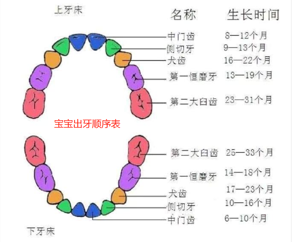 宝宝这四种异常表现，其实在暗示父母：我要长牙啦！附出牙顺序表