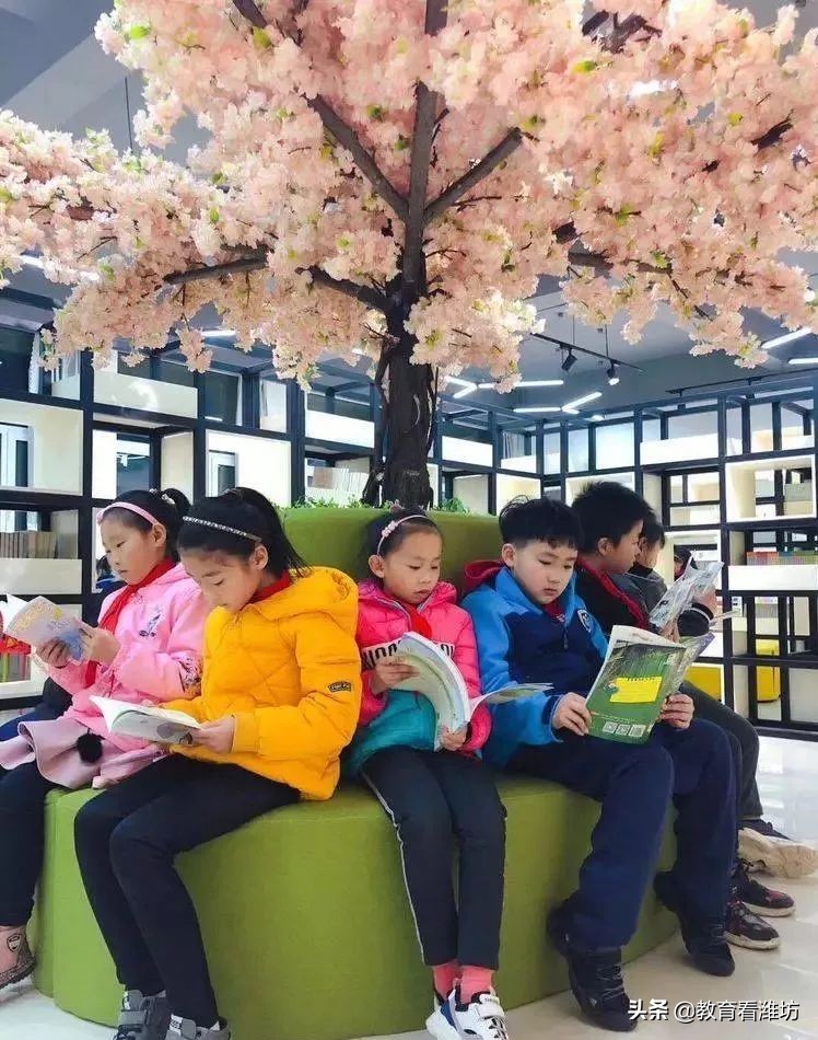 潍坊高新区（上海）新纪元学校办学情况介绍