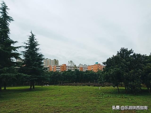 五院四系法最末！被叹惜的政法长安校区，有着超美的秋色与一日游