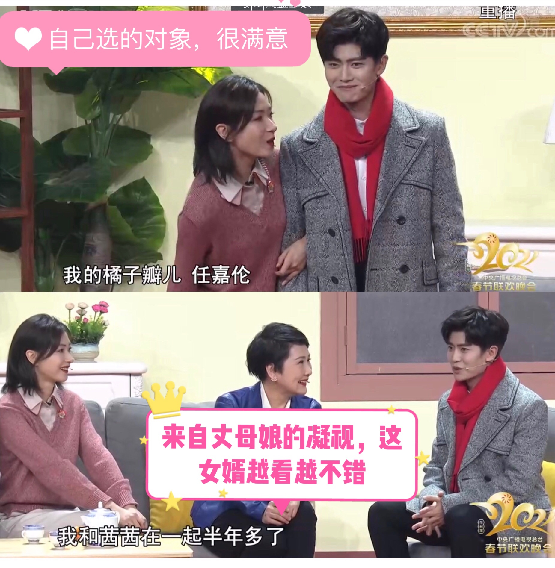 春晚“国民女婿”任嘉伦的心酸成名史，太不容易了