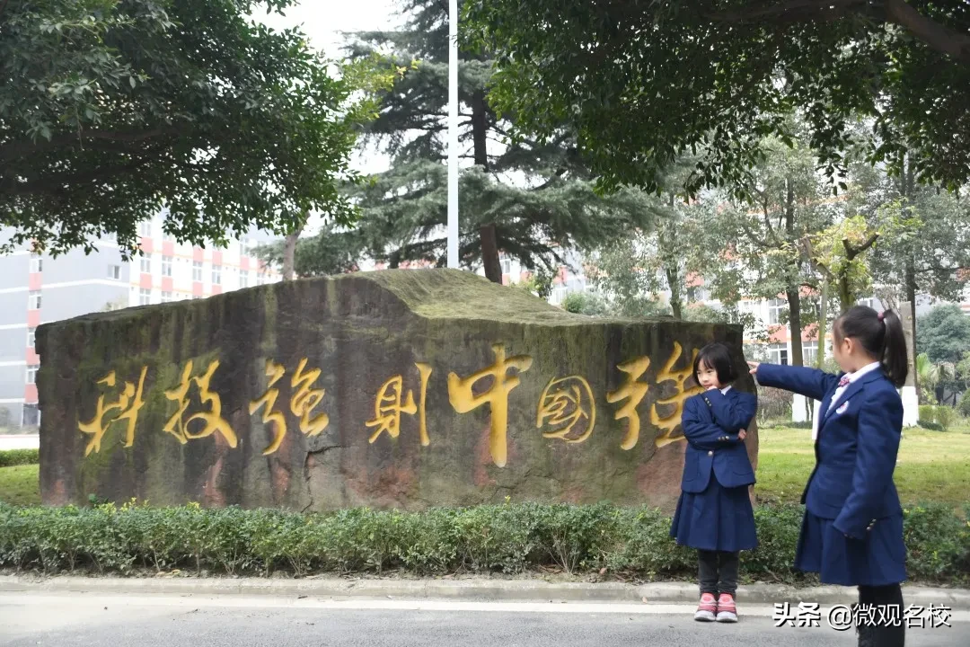 陈宇、何佳庠...这群有共同情怀的人铸就了成川外的“定海神棒”