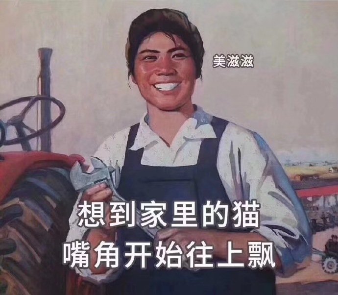 铲屎官表情包：一猫在手，自信我有