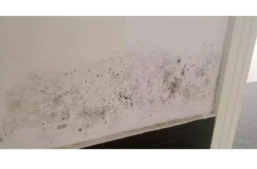 住在一楼的家里太潮湿、有霉味？看完这里就可以跟它说再见了