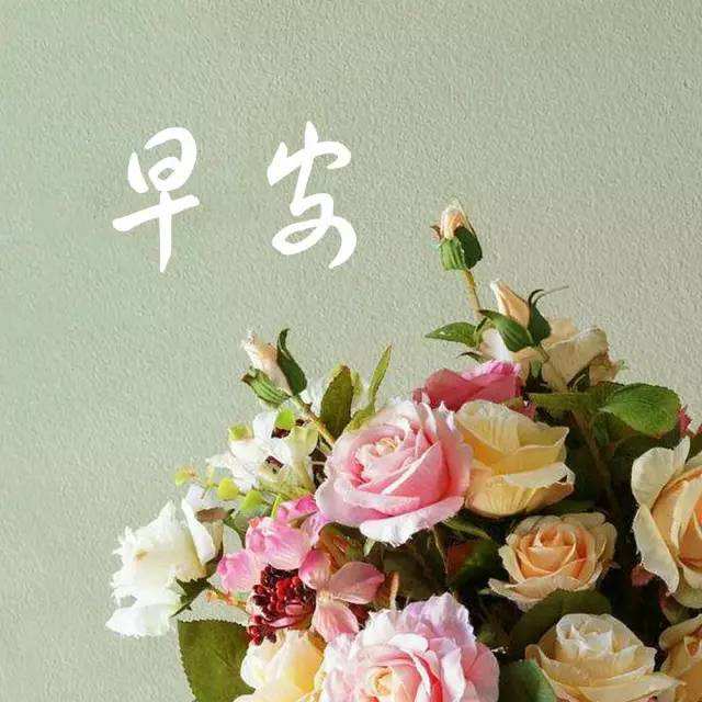 人生无返程，每一步皆风景