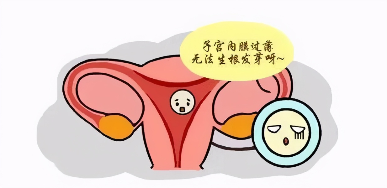 怀孕需要多厚的子宫内膜呢?