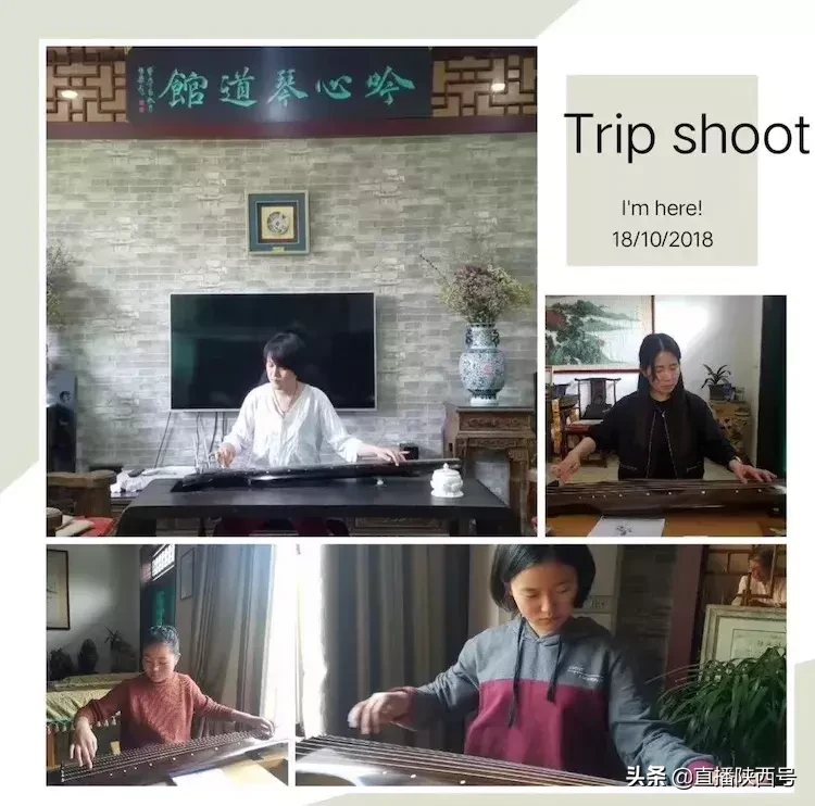 蒲城县吟心琴道馆,非遗文化“梅庵派”古琴精品班您知道吗?