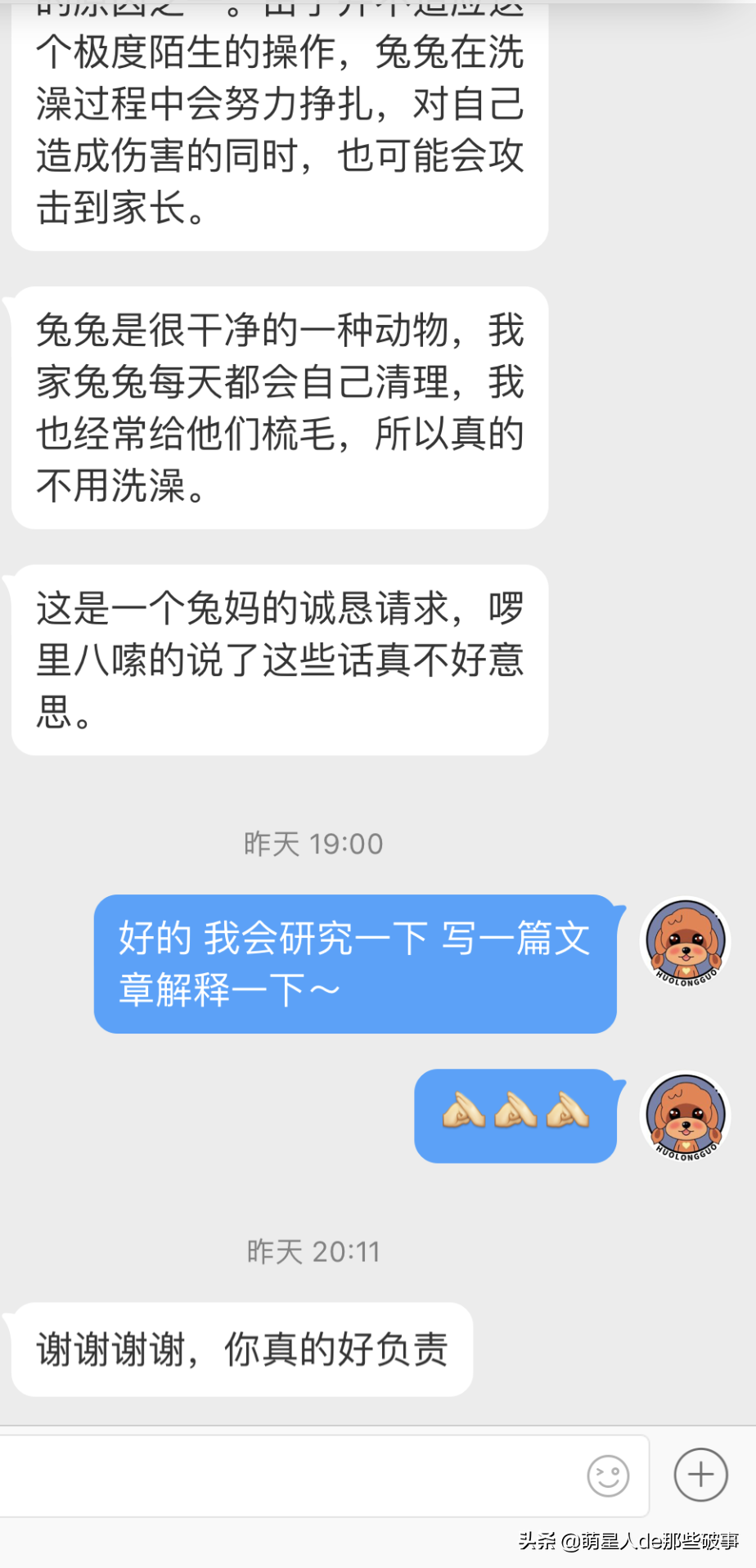 兔子能洗澡吗太臭了（分享新手的正确养兔指南）