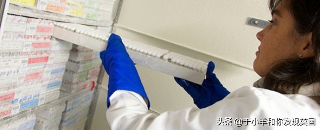 布里斯托大学：罗素院校中的“英国工程王国”，牛剑之外第一选择