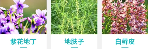 皮炎、湿疹反复发作?祖传“换皮术”,一招轻松搞定瘙痒、红肿