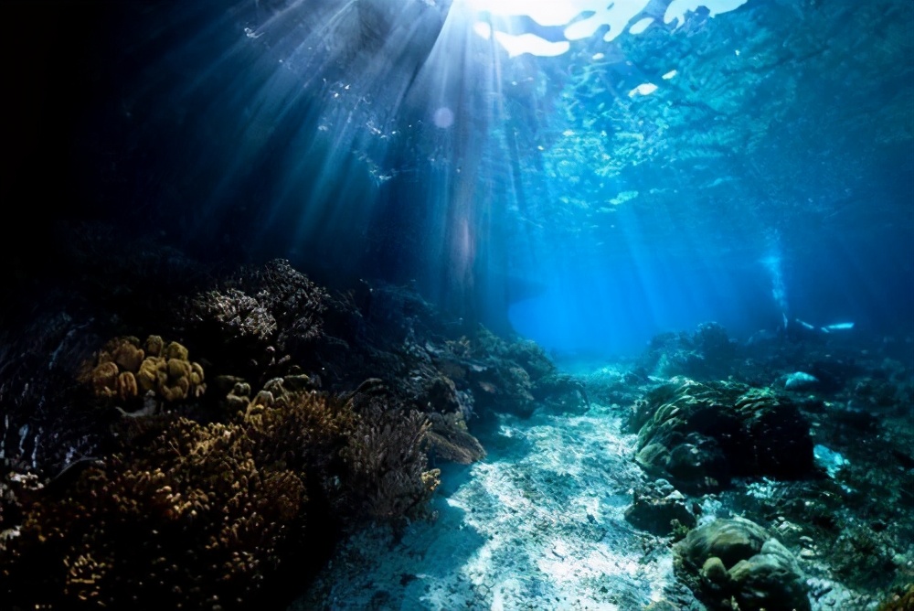 海底世界的资料,海底世界的资料简介