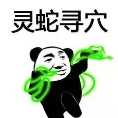 熊猫头武功斗图表情包：朋友过两招？佛山黄飞鸿请赐教