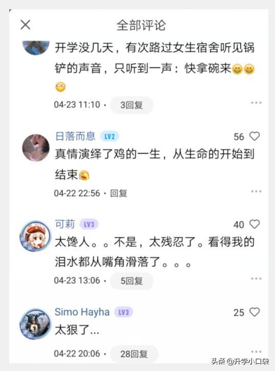 女大学生宿舍养鸡，从鸡蛋变鸡肉，是“馋人”还是“残忍”？