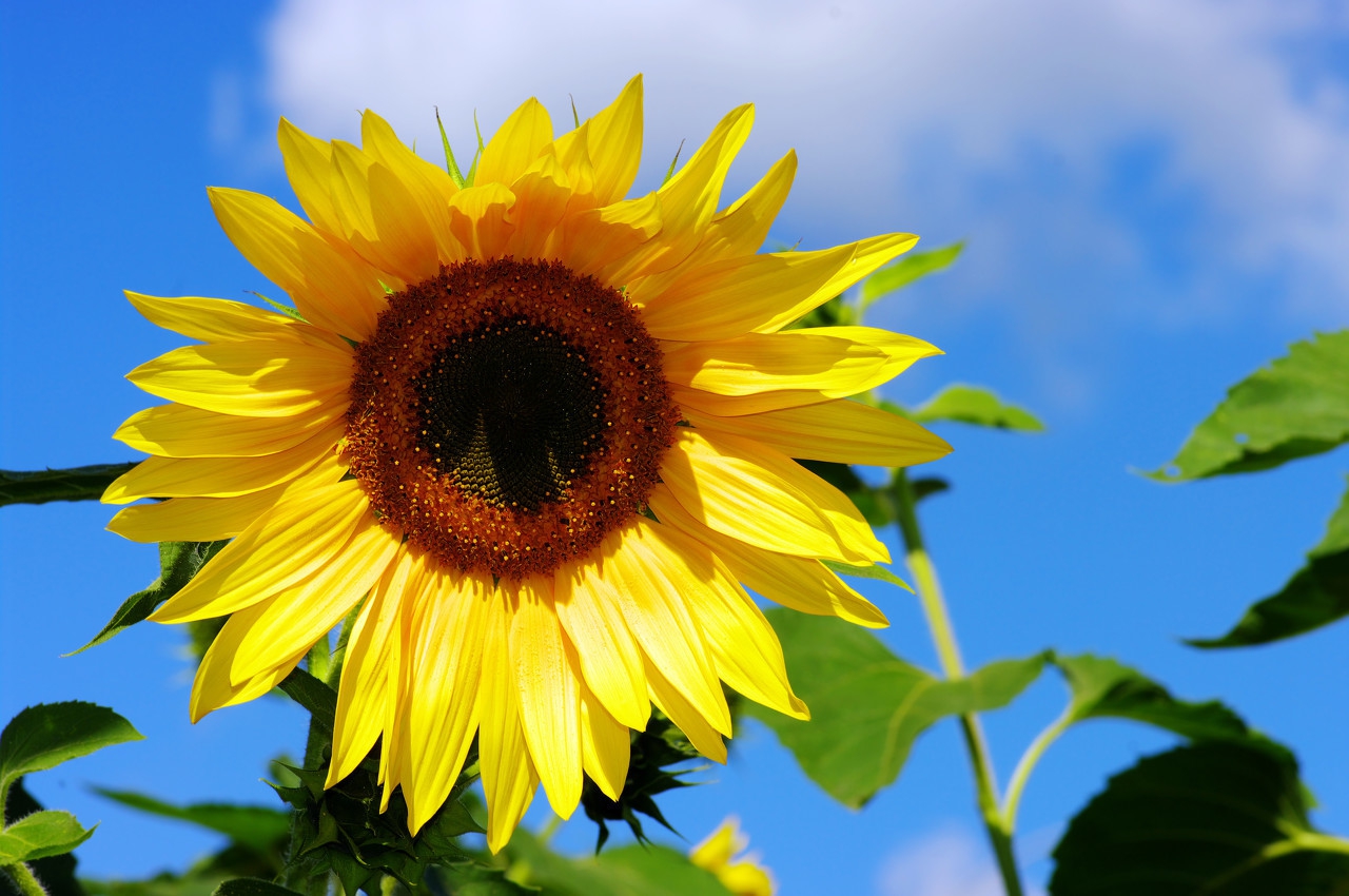 推荐六种精彩好开头——写作有方法