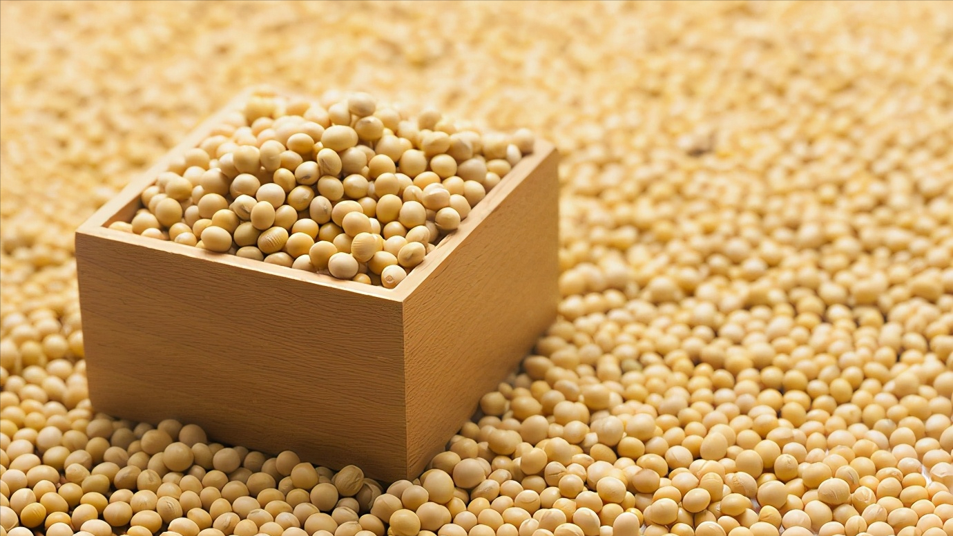 中国7天买下39.5万吨美豆,运费多少钱