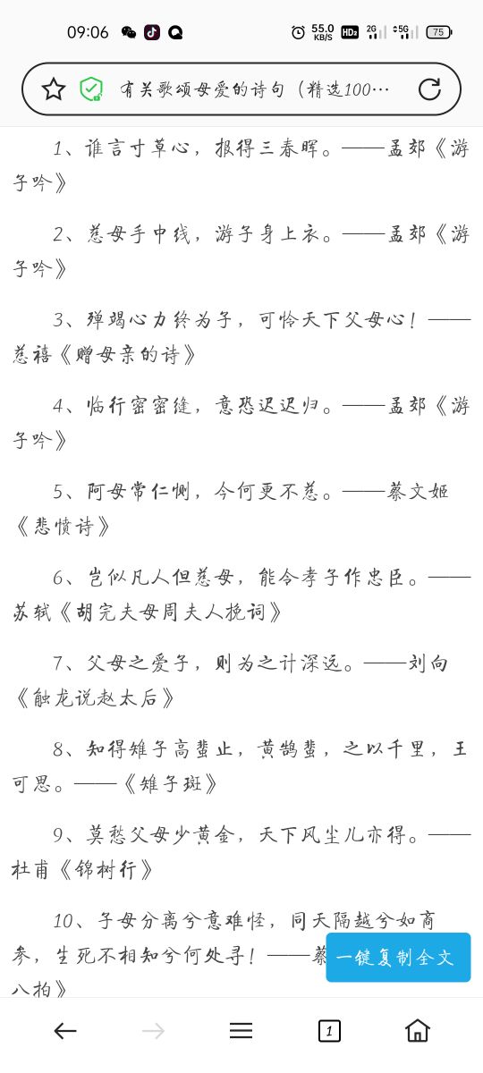 母爱如春晖，温柔照亮我生命的每一刻。