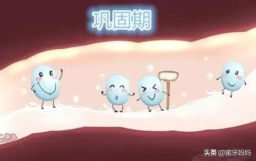 益生菌吃不吃?怎么吃?关于益生菌,一篇全知道