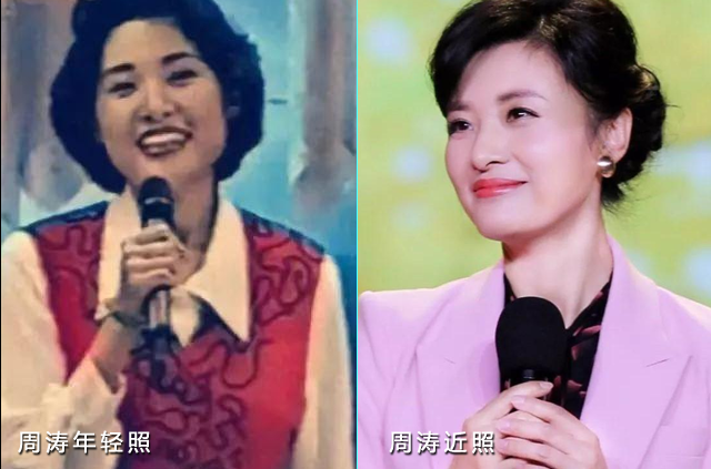 90年代的15位中央电视台本家的主持人照照了今昔萍变化的大杨澜，依然认为美鲁豫二人。