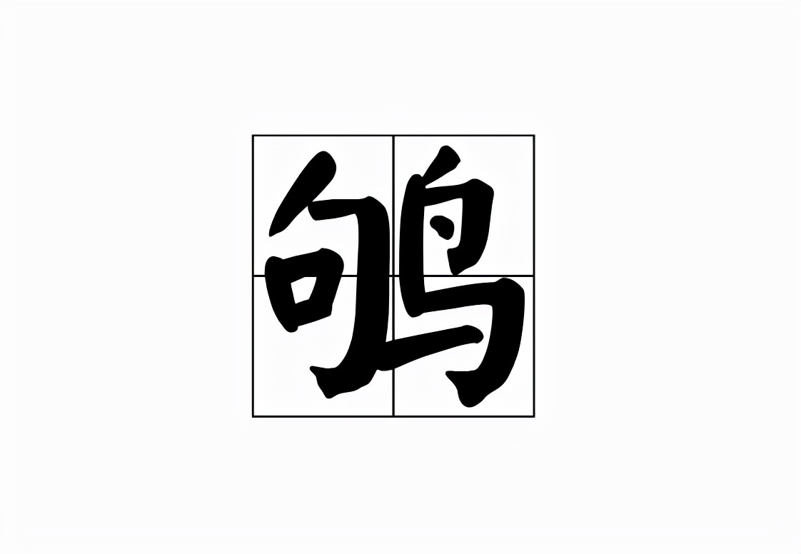 鸲鸟读音解析：鸲怎么读及常见读音指南
