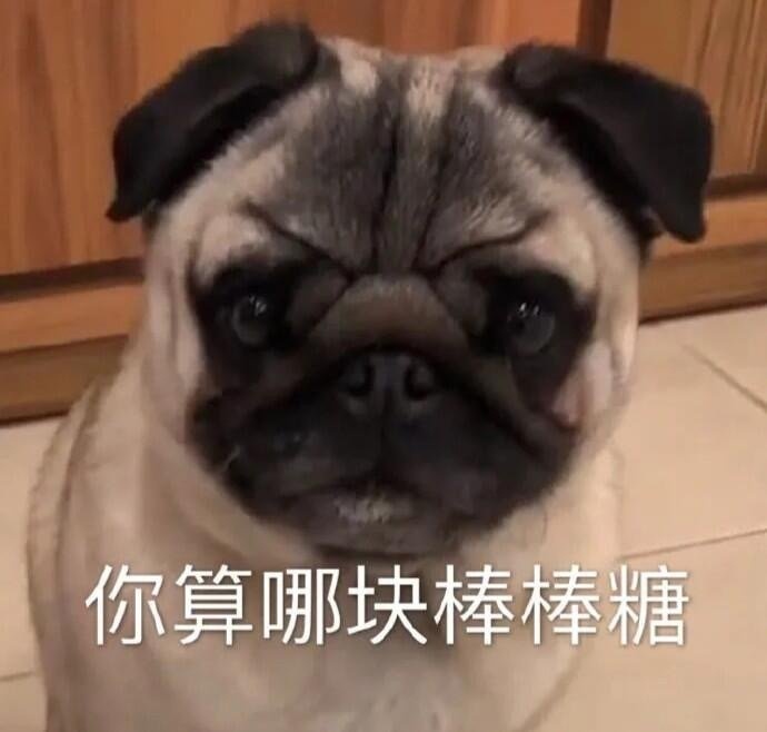 表情包：做一只废喵挺好的