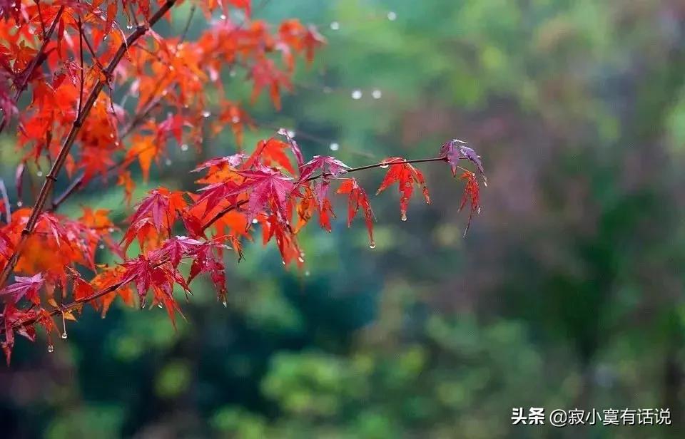 一阵秋风一阵爽，一场秋雨一场凉