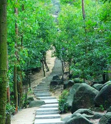 广州12个特色免费景点，周末打卡好去处，地铁直达，你想去哪个？