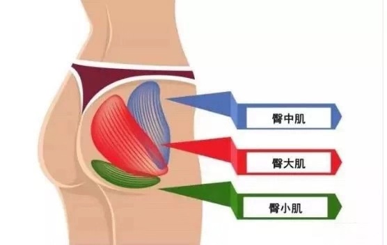 有一种性感，叫女孩的翘臀！5个动作练出紧致翘臀，塑造完美曲线