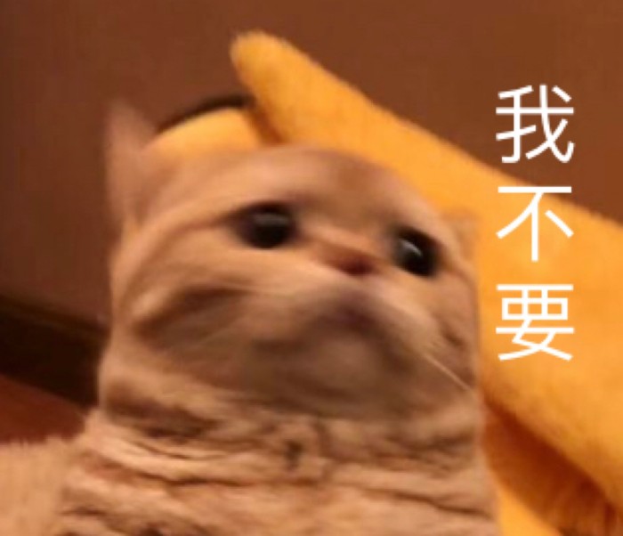 表情包：可不可以牵一下小猪猪的手？