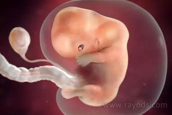 「惊」怀孕1一40周真人过程图