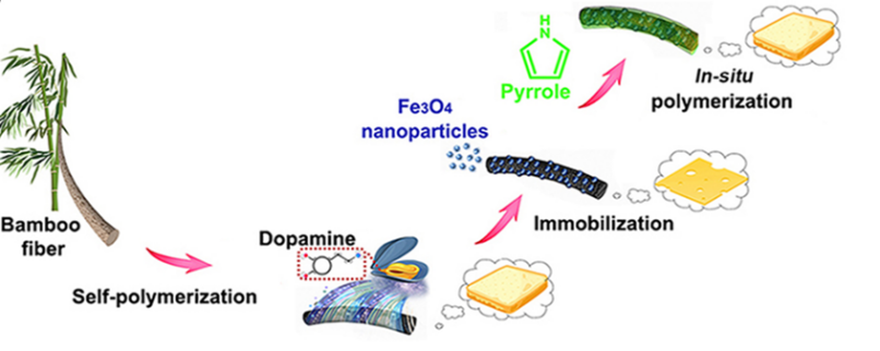 揭秘！北京林业大学科研实力如何？仅一个月，就有8项成果引发全球关注！