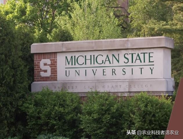 中国农大，荷兰农大，美国农大，日本农大，谁是世界第一农大