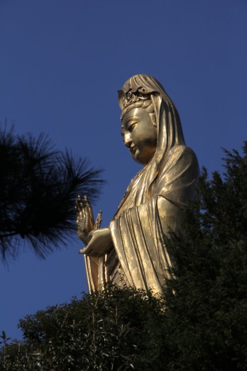 普陀山南海观音显灵吓倒游客(千人目睹观音显灵,甚至有视频真实记录